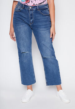 Jeans Plus Size Straight Roturas Azul Family Shop